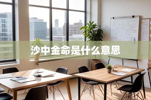 沙中金命是什么意思
